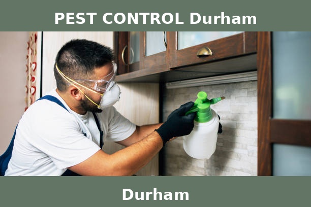 PEST CONTROL Durham